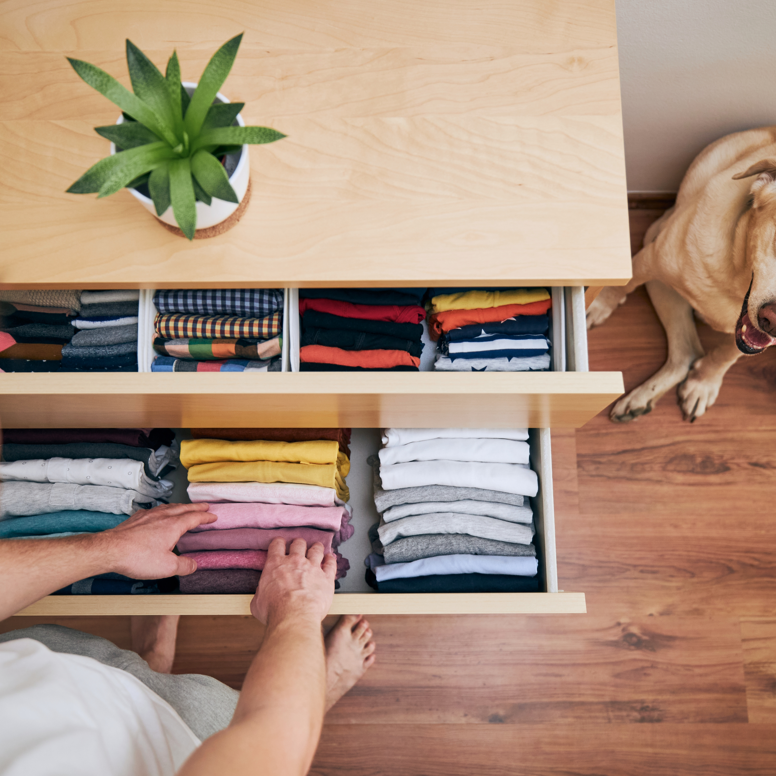 Folded Clothes in Drawer